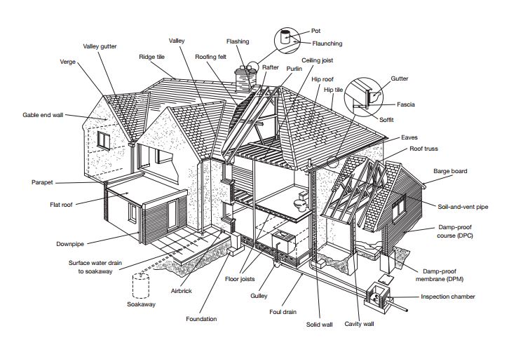 Decoding Your Survey Report